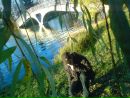 Олексій Чікальов фотография #28 (источник - https://vk.com/id84069850)