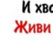 Юрий Shevchenko фотография #3 (источник - https://vk.com/id137078771)
