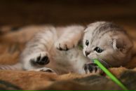 Фотография Терешиной Ольги