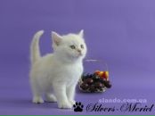 Улянка Новальківська фотография #2 (источник - https://vk.com/id110055453)