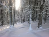 Оксана Нарівна фотография #29 (источник - https://vk.com/id15210177)