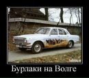 Стас Тимофеев фотография #27 (источник - https://vk.com/id3975274)