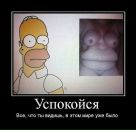 Миша Мифка фотография #11 (источник - https://vk.com/id289308)