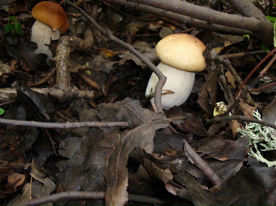 Эмма Кубло фотография #48