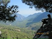 Фотография Донченко Алексея