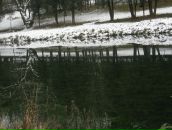 Соломія Кухар фотография #11 (источник - https://vk.com/id69973263)