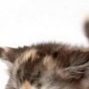 Юля Матвійчук фотография #20 (источник - https://vk.com/id135907201)