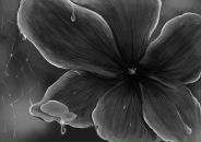 Андрій Калита фотография #42 (источник - https://vk.com/id7389403)