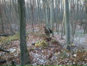 Женя Мацієвський фотография #42 (источник - https://vk.com/id38082246)