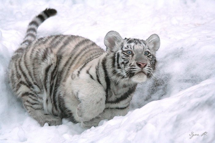 Салават Валеев фотография #28