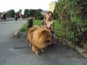 Олена Дичаківська фотография #39 (источник - https://vk.com/id84744846)