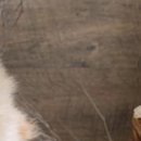 Василь Дмитрів фотография #37 (источник - https://vk.com/id98013424)