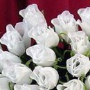 Іра Сакундяк фотография #27 (источник - https://vk.com/id35307343)