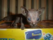 Фотография Матро Татьяны