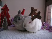 Фотография Затепякина Олега