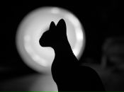 Фотография Усовой Елены