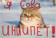 Фотография Рыкова Володи