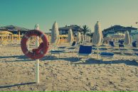 Фотография Котик Катерины