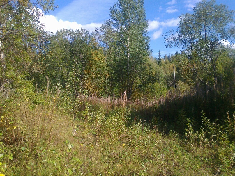 Young Lady фотография #45