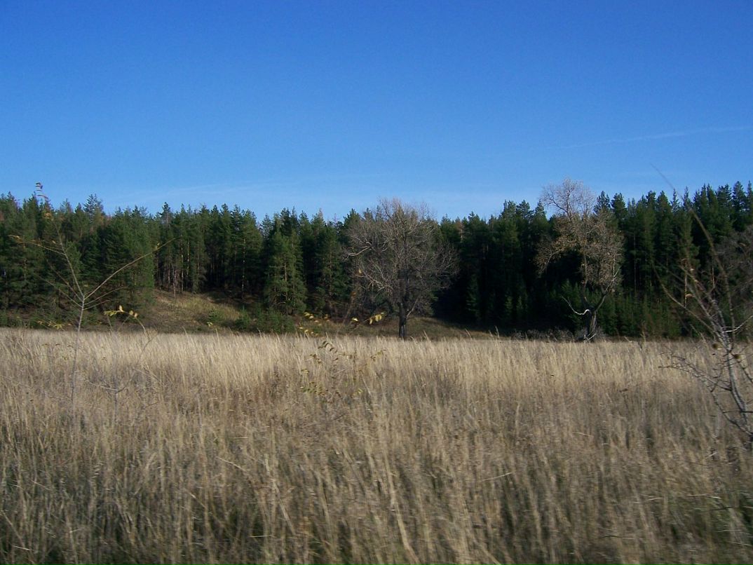 Игорь Кисель фотография #32