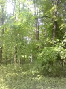 Вікторія Синишин фотография #43 (источник - https://vk.com/id73030325)