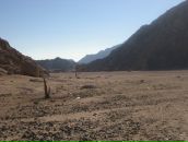 Евгений Иевлев фотография #22 (источник - https://vk.com/id2978352)