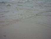 Вадім Щур фотография #49 (источник - https://vk.com/id72260207)