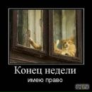 Сергій Климчук фотография #15 (источник - https://vk.com/id41641264)