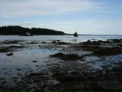 Анна Журавлёва фотография #13 (источник - https://vk.com/id461369)