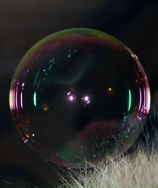 Михаил Яковлев фото №34