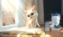 Фотография Bachata Anya