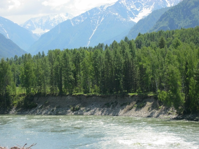 Антон Трушников фотография #49