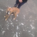 Діана Тимків фотография #11 (источник - https://vk.com/id156036508)