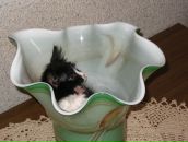 Антон Поштаренко фотография #23 (источник - https://vk.com/id928604)