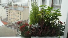 Юлия Москвичева фотография #12 (источник - https://vk.com/id1690467)