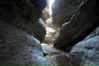 Малик Мусаев фотография #33 (источник - https://vk.com/id4264451)