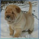 Крістіночка Рішко фотография #15 (источник - https://vk.com/id46725729)