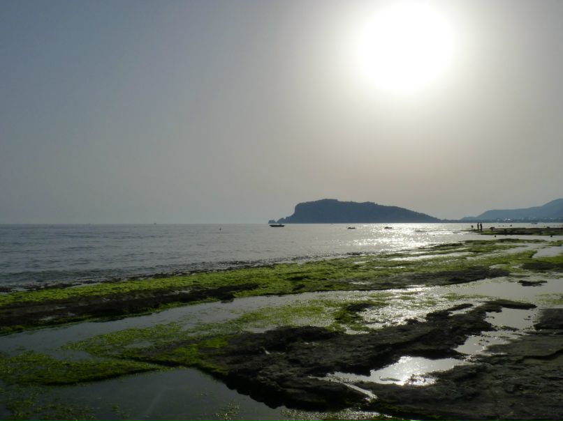 Михаил Грачев фотография #34