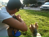 Фотография  