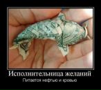 Влад Сірий фотография #15 (источник - https://vk.com/id16271497)