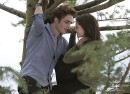Белла| Edward|Каллен фотография #8 (источник - https://vk.com/id59790300)