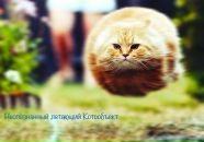 Елена Иващенко фотография #21 (источник - https://vk.com/id2023982)