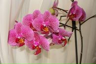 Фотография Жихарь Максим