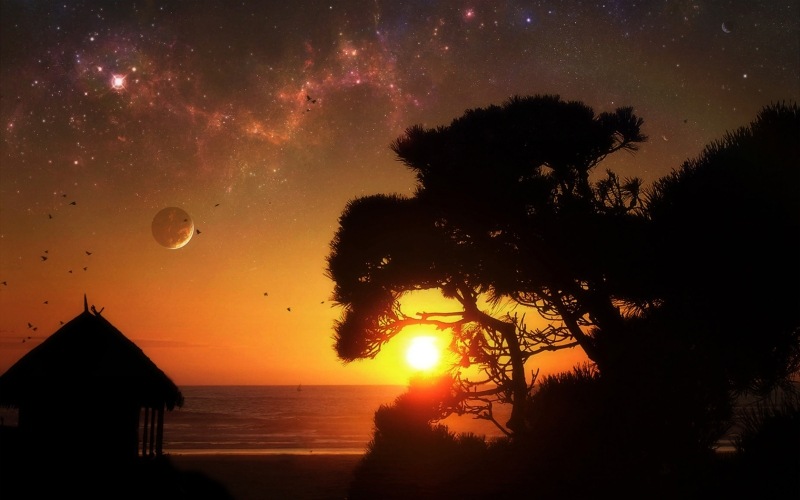 Аля Петрова фотография #8