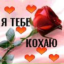 Мар'яна Козодій фотография #44 (источник - https://vk.com/id73317708)