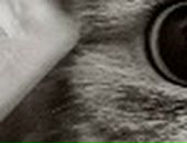 Саша Іскрицька фотография #18 (источник - https://vk.com/id73247965)