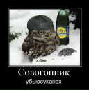 Фотография Кокуйского Алексея