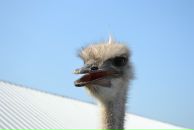 Константин Басалаев фотография #19 (источник - https://vk.com/id257097)