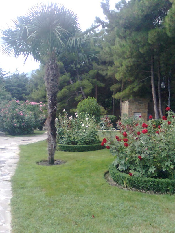 Инна Бреус фотография #49