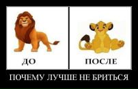 Лев Черняков фотография #3 (источник - https://vk.com/id435003)